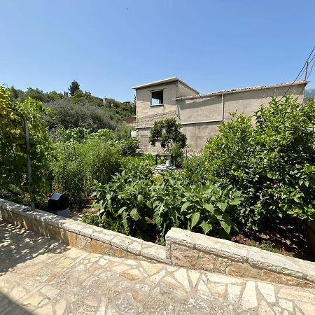 Garden Holiday Studios Himare Exterior photo